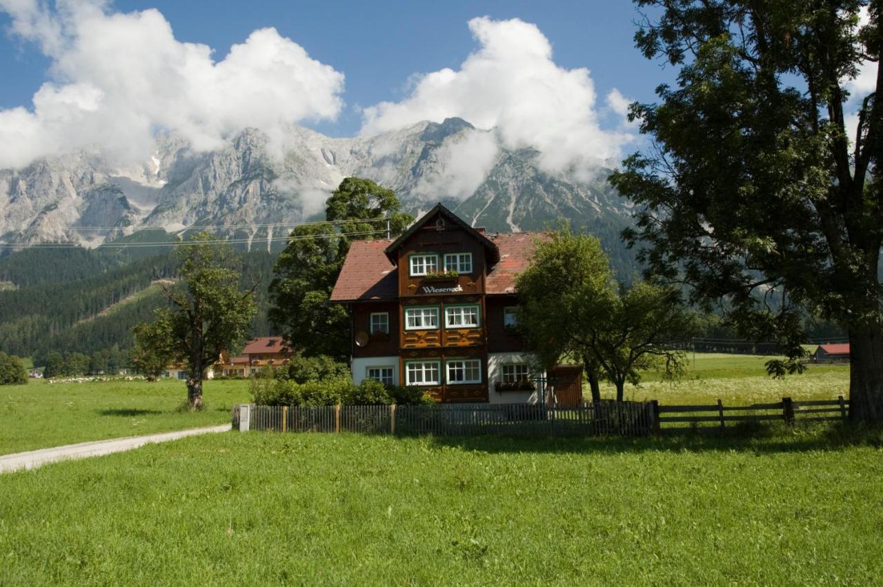 Appartements Wieseneck - Ramsau Am Dachstein - Inklusive Sommercard ! رامساو أم داتشستين المظهر الخارجي الصورة