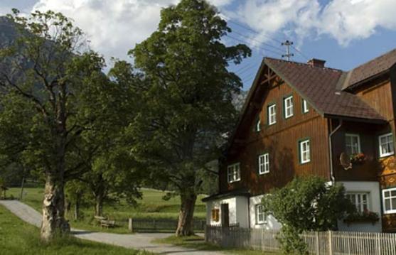 Appartements Wieseneck - Ramsau Am Dachstein - Inklusive Sommercard ! رامساو أم داتشستين المظهر الخارجي الصورة