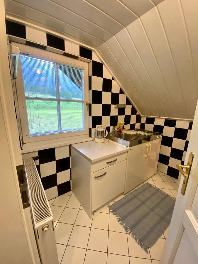 Appartements Wieseneck - Ramsau Am Dachstein - Inklusive Sommercard ! رامساو أم داتشستين المظهر الخارجي الصورة