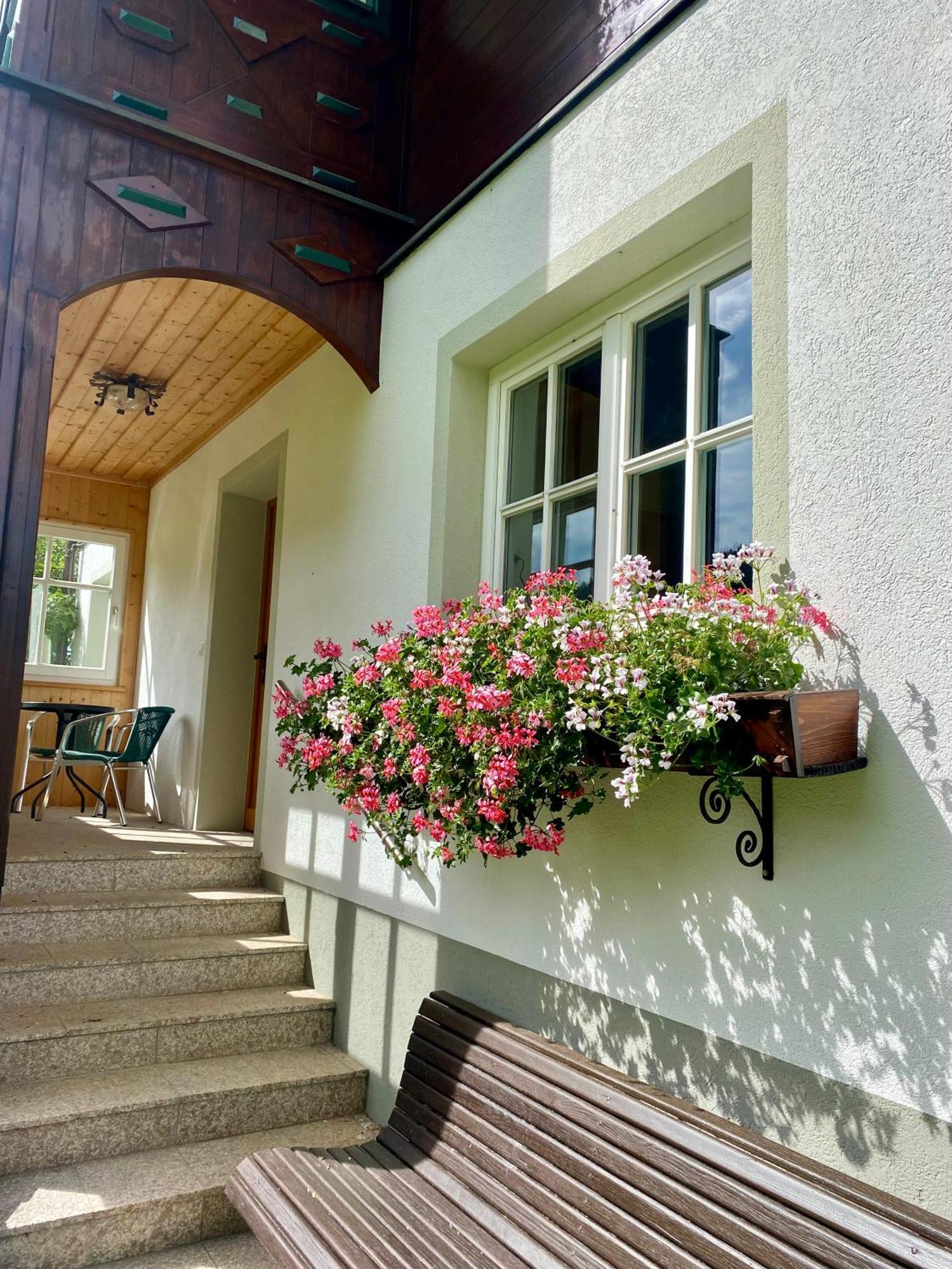 Appartements Wieseneck - Ramsau Am Dachstein - Inklusive Sommercard ! رامساو أم داتشستين المظهر الخارجي الصورة